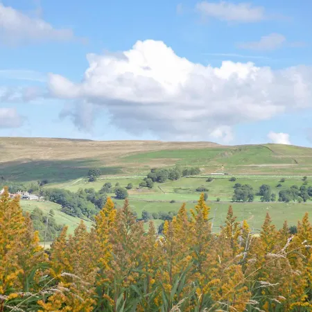 Skelgill Rigg *